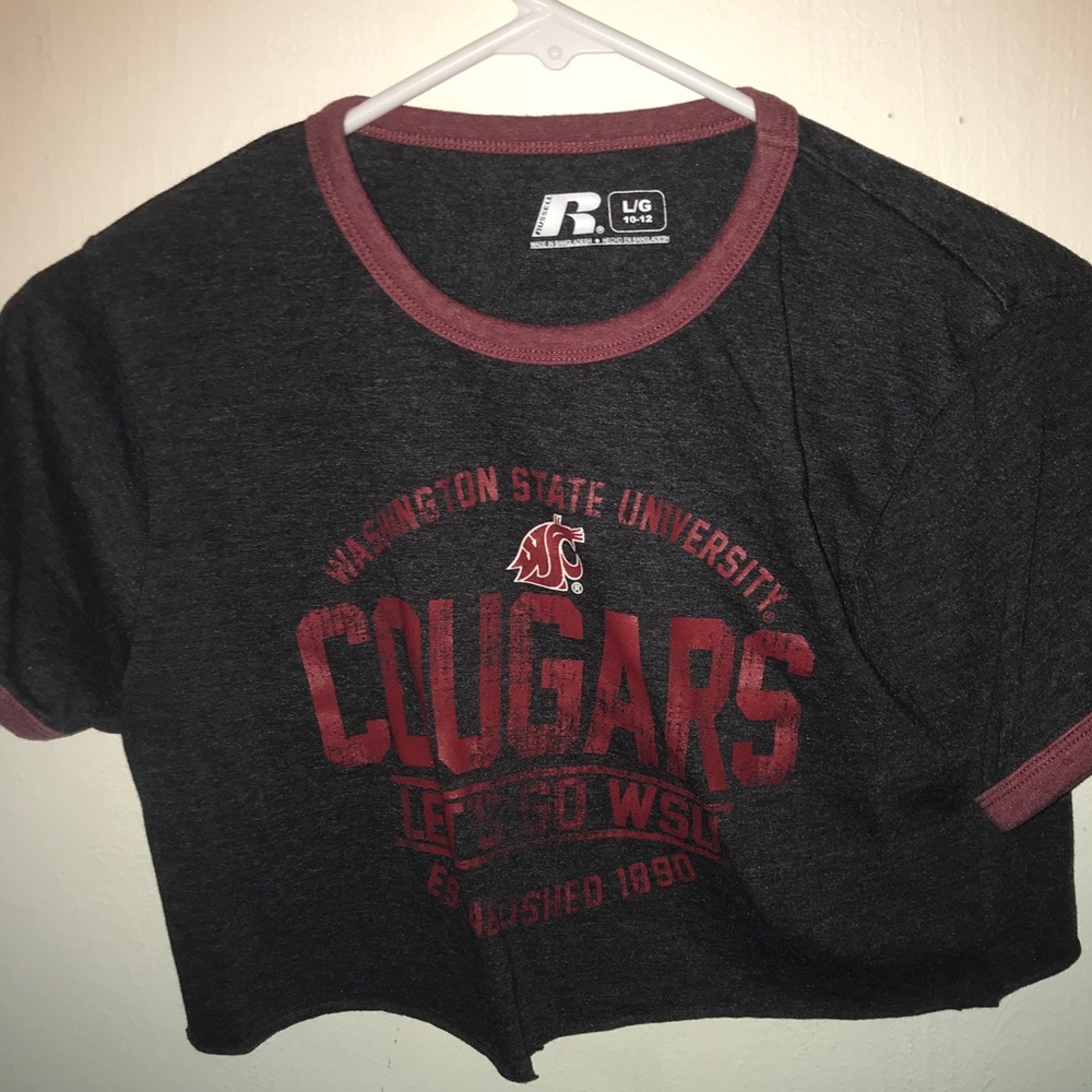 Dark grey cougars crop top